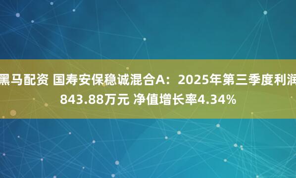 黑马配资 国寿安保稳诚混合A：2025年第三季度利润843.88万元 净值增长率4.34%