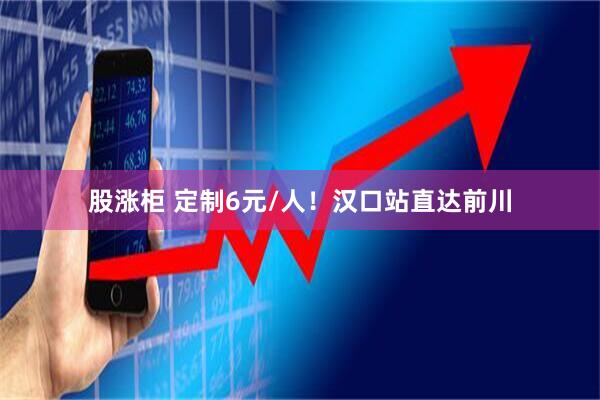 股涨柜 定制6元/人！汉口站直达前川