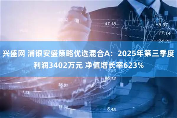兴盛网 浦银安盛策略优选混合A:2025年第三季度利润3402万元 净值增长率623%